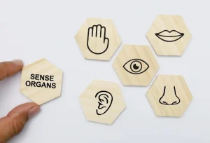 9b4299924f60bd5a98be9b71da97ce4a