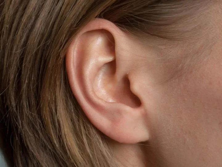 geterotopicna-replantaciia-v-mikroxirurgiyi-abo-iak-xirurgi-vriatuvali-vusnu-rakovinu-za-dopomogoiu-stopi-16f653eb