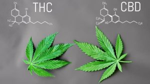 CBD і THC