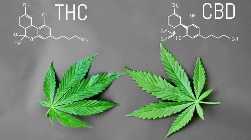 CBD і THC
