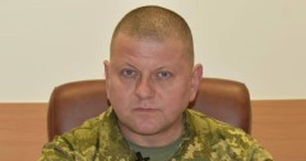 Валерий Залужный Родители Национальность: подробная биография и семья