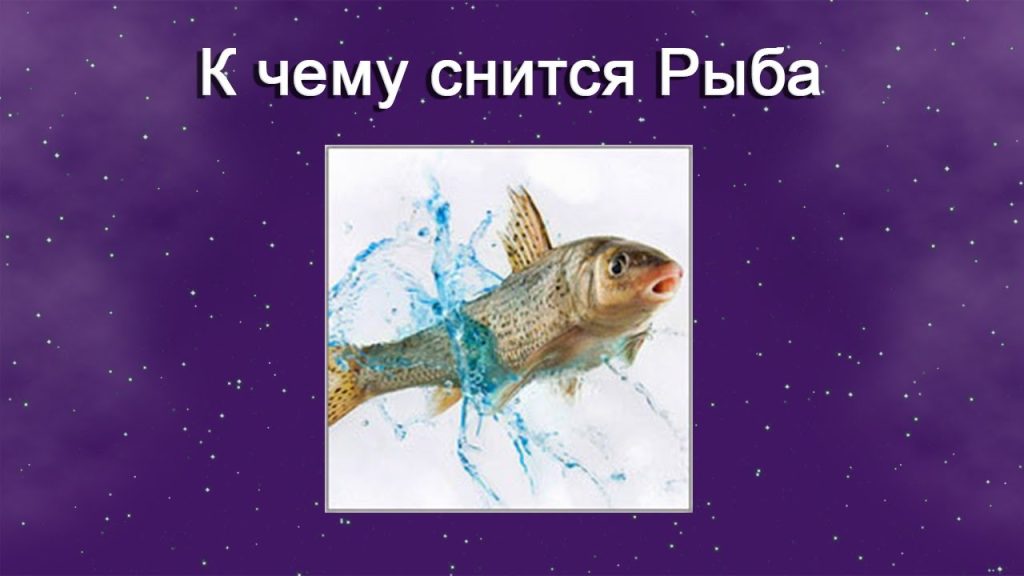 К Чему Снится Рыба: Толкование и Значение Сновидения