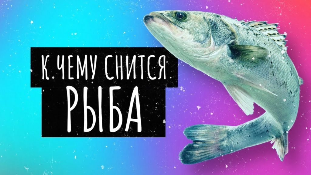 К Чему Снится Рыба: Толкование и Значение Сновидения