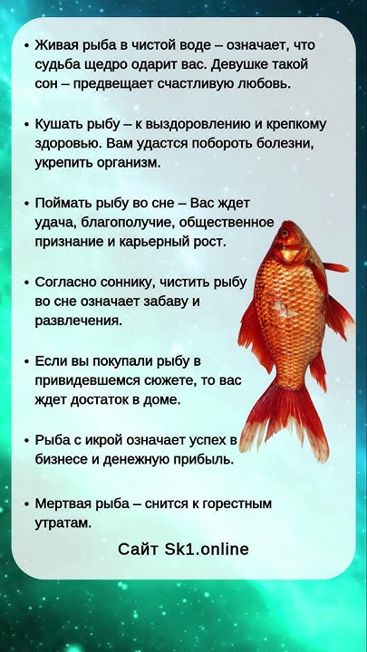 К Чему Снится Рыба: Толкование и Значение Сновидения