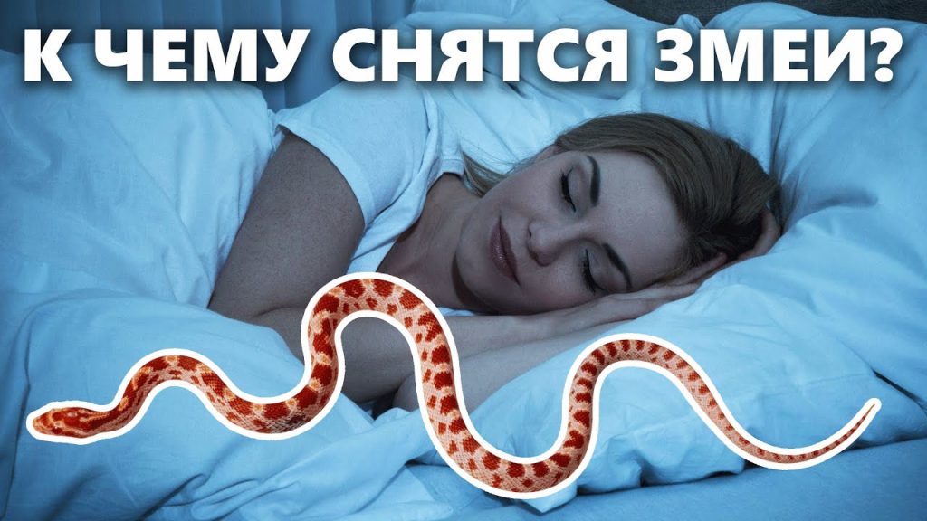 К Чему Снится Змея: Толкования, Символика и Значение Сновидения
