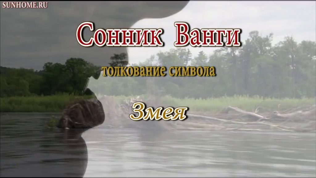 К Чему Снится Змея: Толкования, Символика и Значение Сновидения